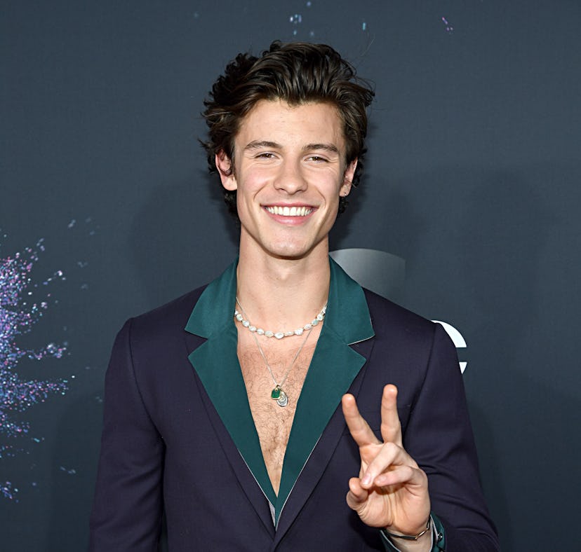 LOS ANGELES, CALIFORNIA - NOVEMBER 24: Shawn Mendes attends the 2019 American Music Awards at Micros...
