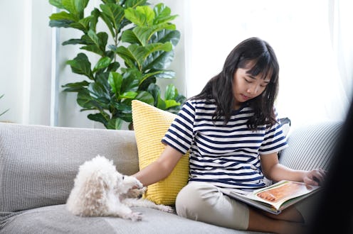 Young woman stay home relaxing with favorite dog