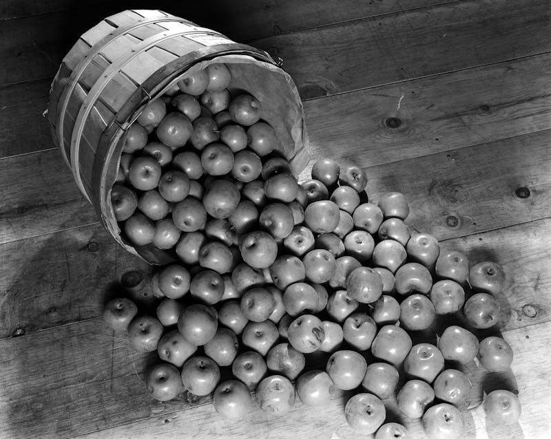 1930s BUSHEL BASKET OF APPLE SPILLING OUT ONTO WOODEN FLOOR  (Photo by H. Armstrong Roberts/ClassicS...