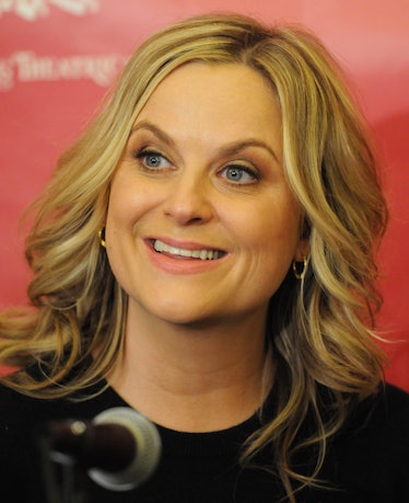 (Cambridge, MA 01/29/15) Hasty Pudding Theatricals Woman of the Year 2015 Amy Poehler  smiles while ...