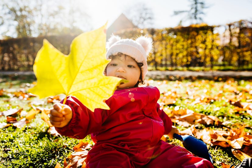 A toddler sitting on the ground looking at an autumn leaf while spending the day in the park.