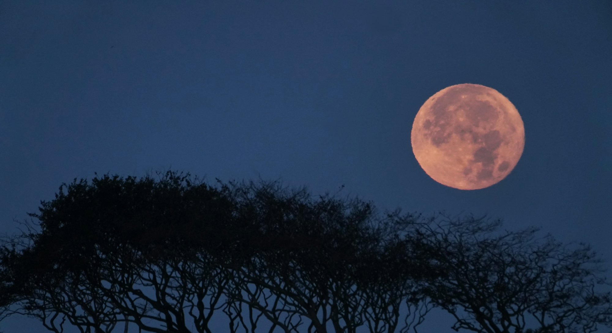 Knowing the dos and don'ts of the September 2021 full harvest moon is important for all zodiac signs