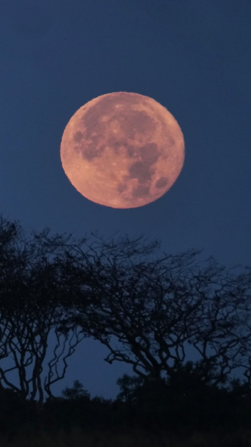 Knowing the dos and don'ts of the September 2021 full harvest moon is important for all zodiac signs