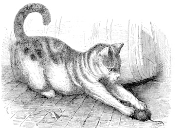 House cat with a captured mouse, Felis domestica, 1880  /  Hauskatze mit einer erbeuteten Maus, Feli...