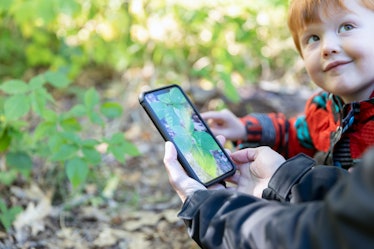 Mother and Son Hiking in the Forest and Learning about Plants and Nature with Mobile App. They are u...