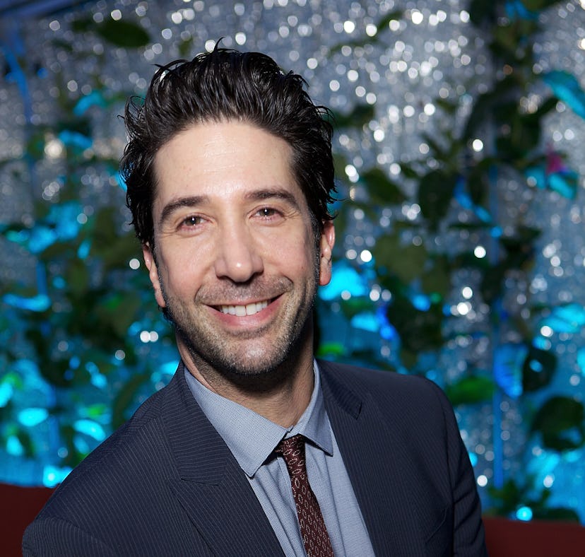 David Schwimmer's relationship history is complicated.