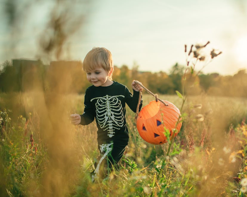 Toddler Halloween costumes are so cute and versatile.