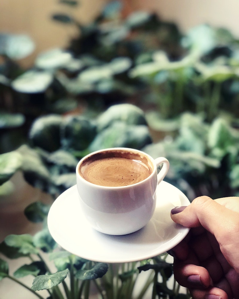 A perfect cup of coffee is held against a backdrop of plants. Science says these five methods will h...