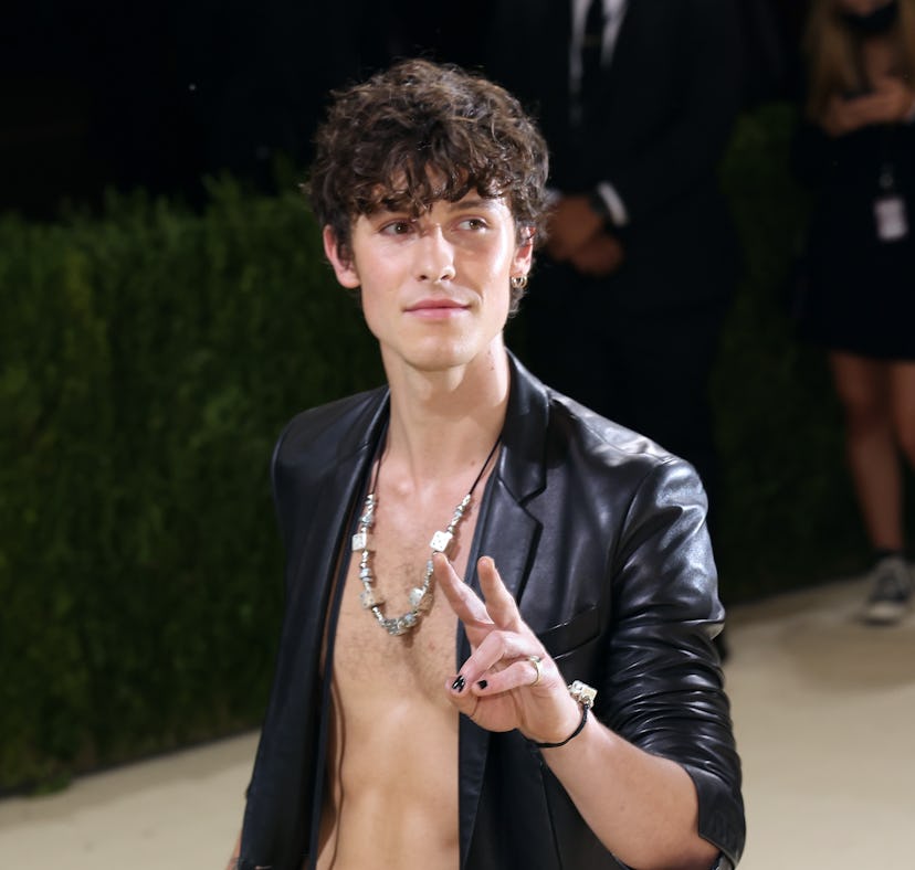 Shawn Mendes subtly shaded Jow Alwyn.