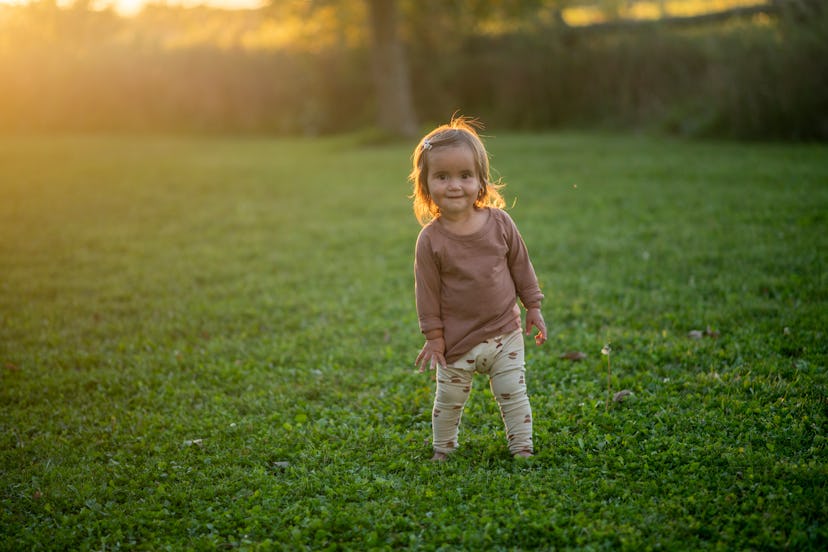 An adorable little brunette toddler walks in the grass on a summers evening.  She is dressed in a br...
