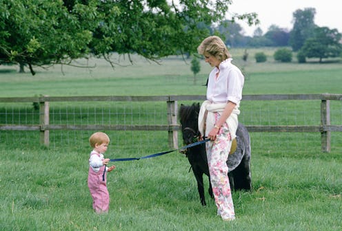 HIGHGROVE, UNITED KINGDOM - JULY 18:  Prince Harry And Princess Diana In The Grounds At Highgrove Wi...