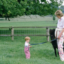 HIGHGROVE, UNITED KINGDOM - JULY 18:  Prince Harry And Princess Diana In The Grounds At Highgrove Wi...