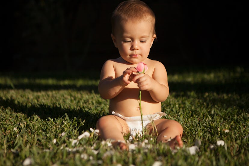 Baby sitting in the grass, picking petals off a flower