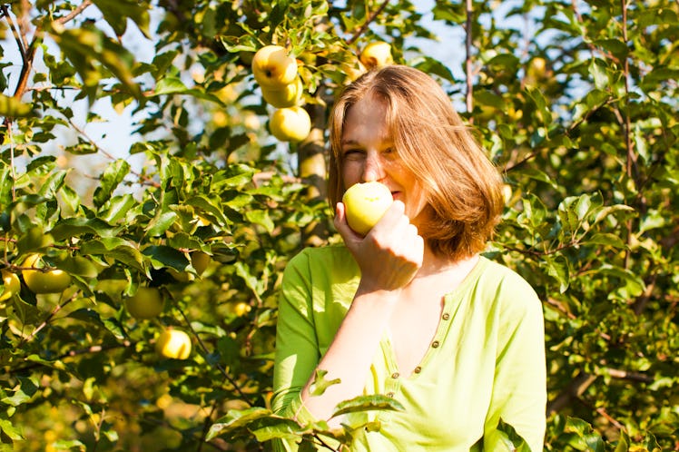 Use these apple picking puns for your adventures on the farm.