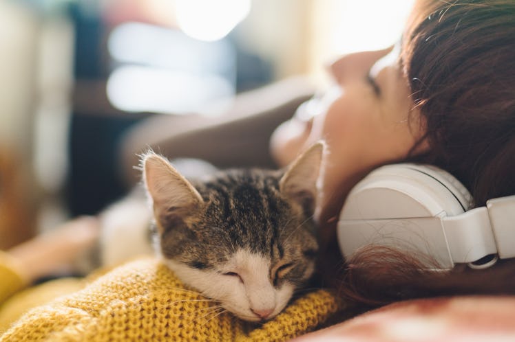 Capture you kitten's cutest moments with these captions for your cat's Instagram.