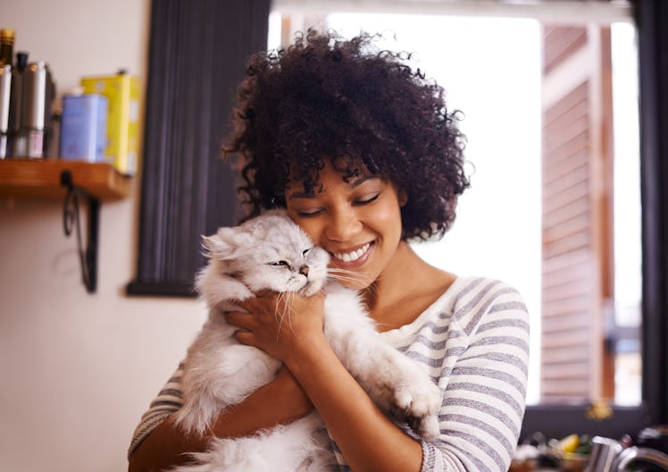 These cat Instagram captions include cute ideas for all your cat photos.