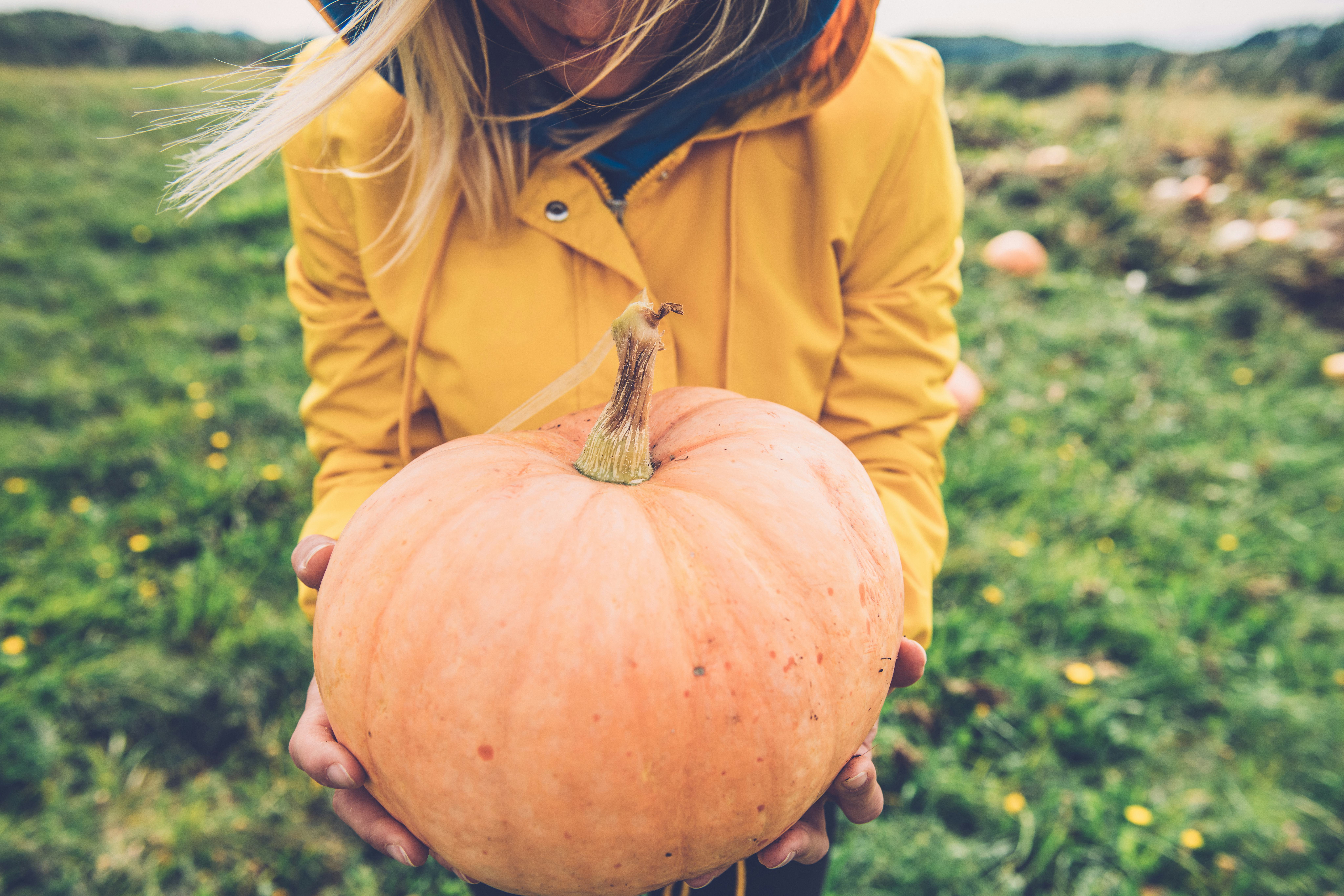 Happy Young Woman holding an Orange Pumpkin in hands