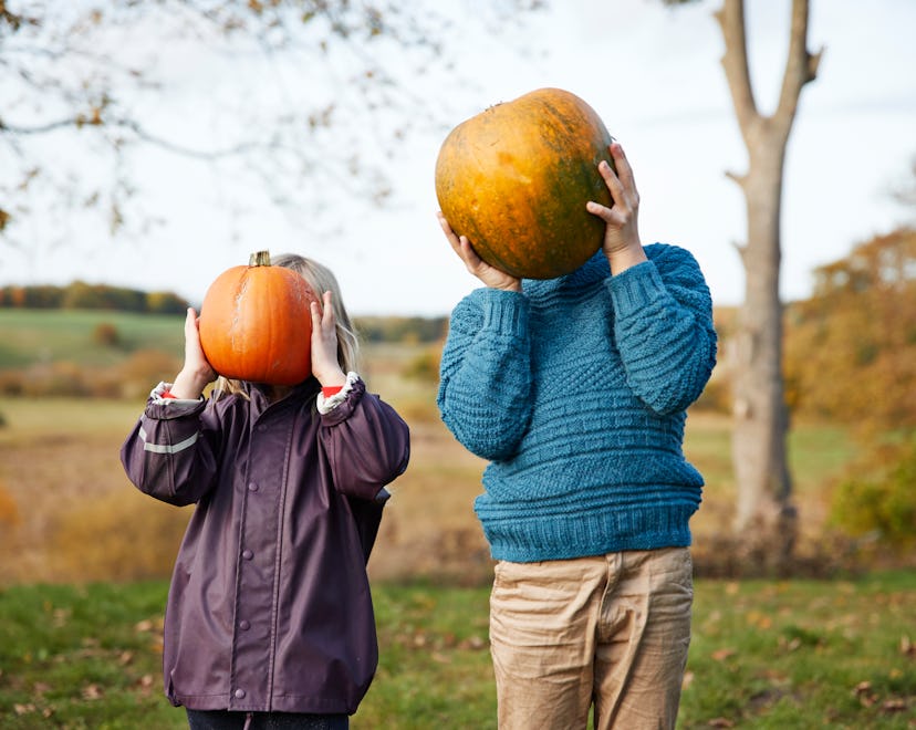 Celebrate autumn with these fall bucket list ideas. 