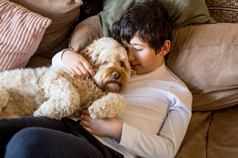 Little boy and his cockapoo cuddling together on a sofa looking cozy