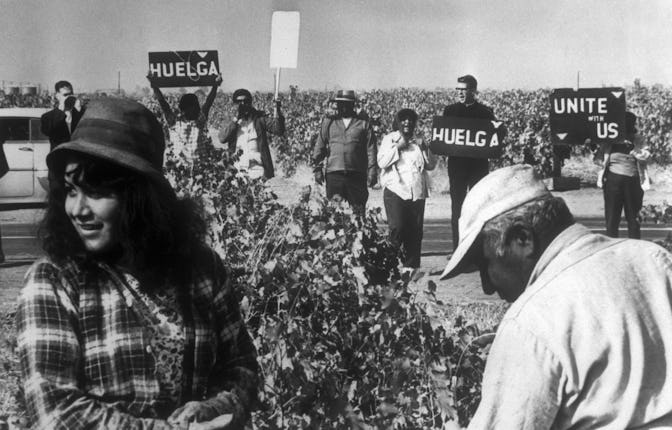 (Original Caption) Pickets gather at edge of grape field here 10/19 to urge workers to join strike b...