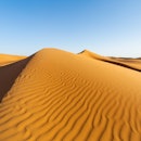 Oman, Wahiba Sands. the sand dunes at sunset