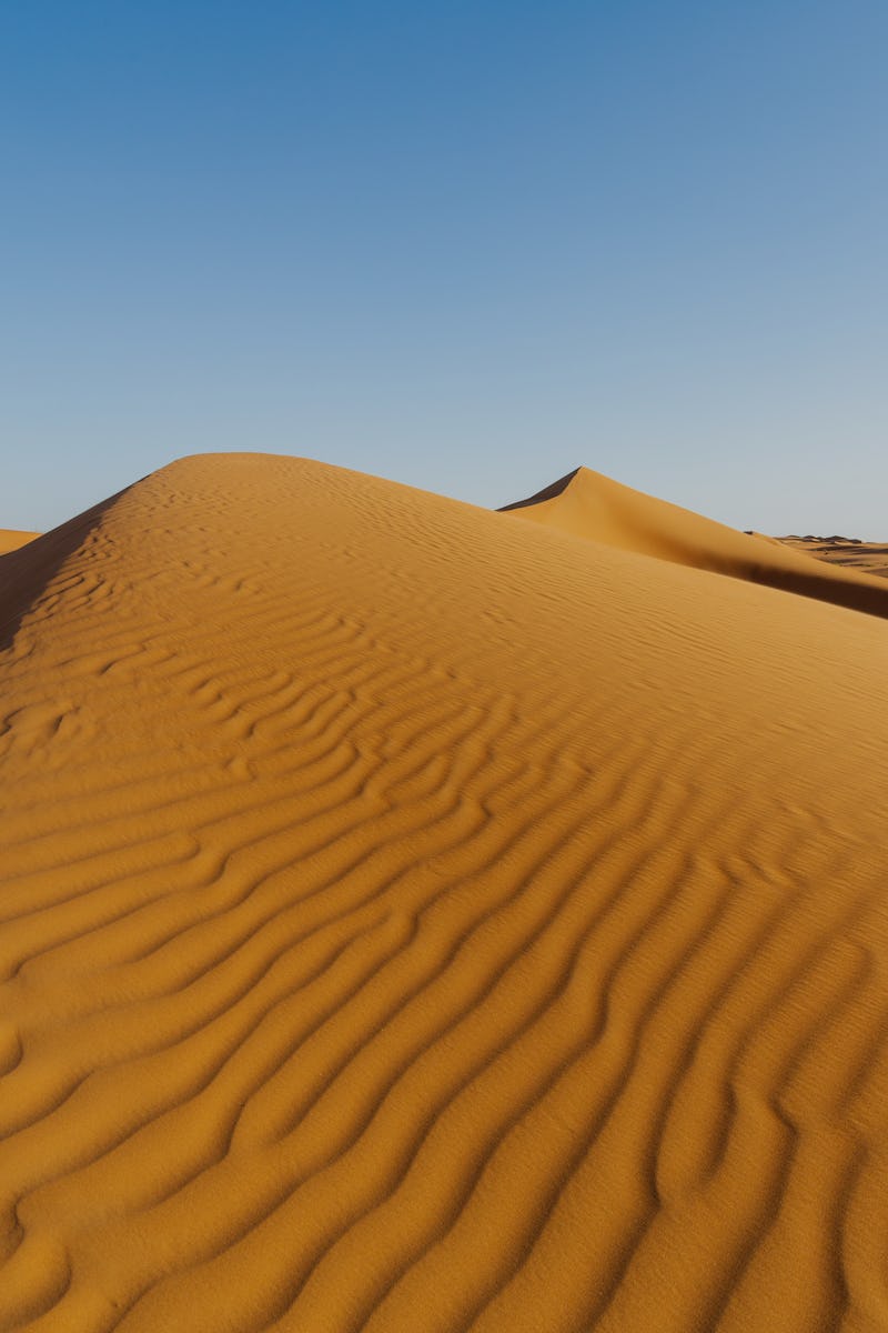 Oman, Wahiba Sands. the sand dunes at sunset