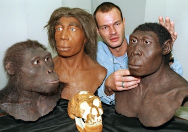 Der Palaeontologe Oliver Sandrock zeigt am 16.9.1998 im Hessischen Landesmuseum die Köpfe von drei U...