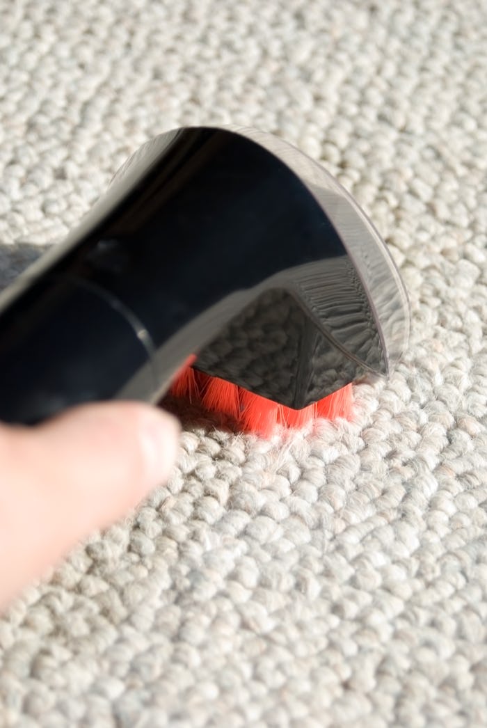 Closeup of a hand held carpet cleaning brush.