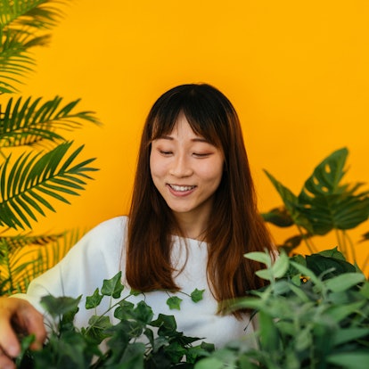 Young woman smiling over her indoor plants, thinking about how her lucky zodiac sign will have the b...