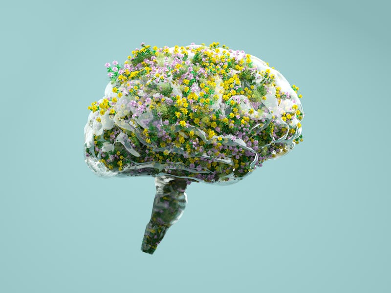 Digital generated image of brain made out of thin transparent plastic filled with flowers against pa...