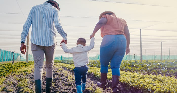 boy holding parents hands