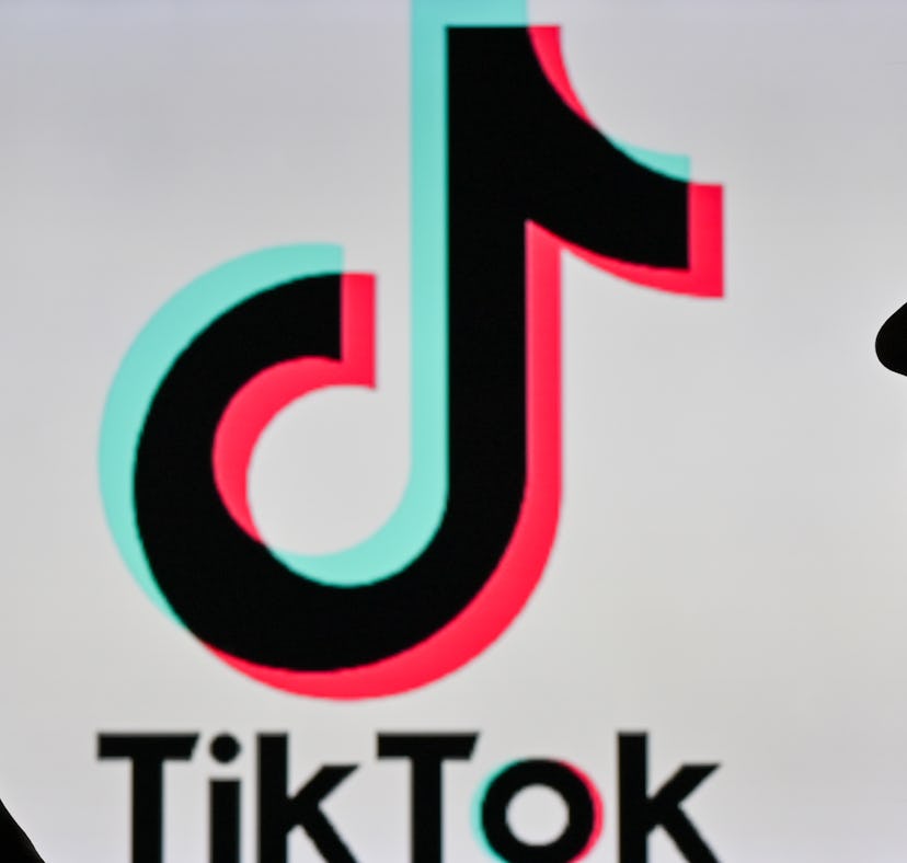How to get and use TikTok's "Adopt Me" celeb parents filter.