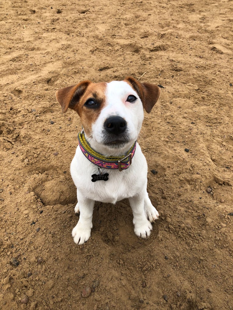 Photo taken in Saint Petersburg, Russia