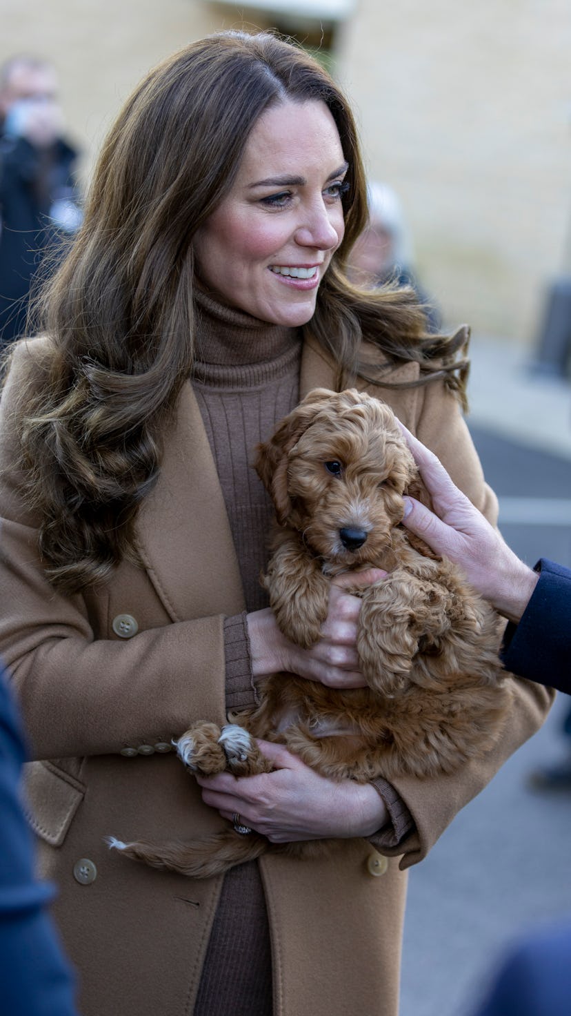 New photos of Kate Middleton holding a therapy puppy on Jan. 20 are adorable.