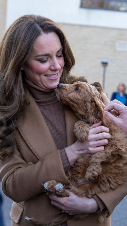 The photos of Kate Middleton holding a puppy are so sweet.