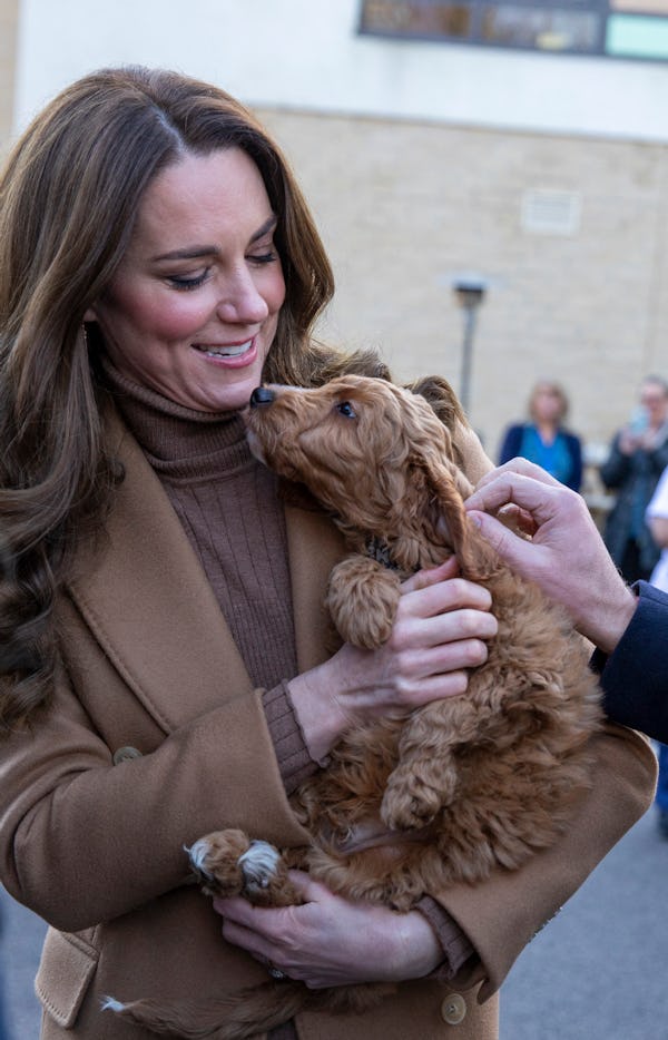 Kate Middleton's brown outfit matched a Cockapoo puppy,