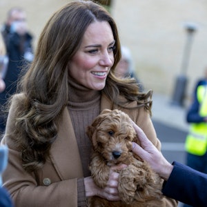 Kate Middleton's brown outfit matched a Cockapoo puppy,