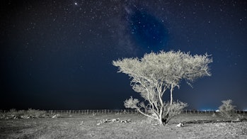 Dark starry sky in the desert