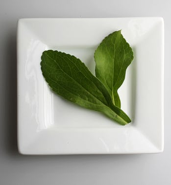 Stevia on a plate in San Francisco, Calif., on Tuesday, July 27, 2010. (Photo By Liz Hafalia/The San...