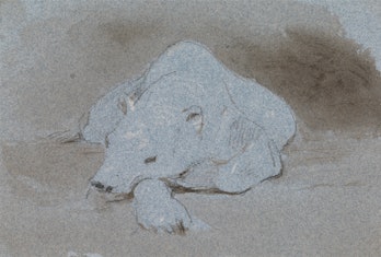 A Polar Bear, Asleep, Front View, George Jones, 1786–1869, British, ca. 1856, Graphite, pen, in brow...