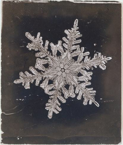 [Snow Crystal], ca 1910, Gelatin silver print, Image: 74 x 9 cm (2 15/16 x 3 9/16 in), Photographs, ...