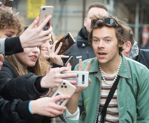 An overwhelmed Harry Styles takes a selfie with excited fans, or stans. What does Stan mean? Here's ...