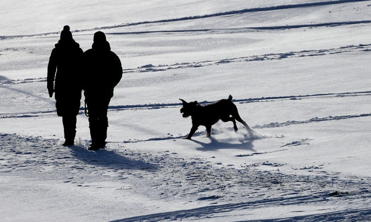 06 January 2022, Saxony, Oberwiesenthal: Two walkers go with their dog over the empty ski slope at t...