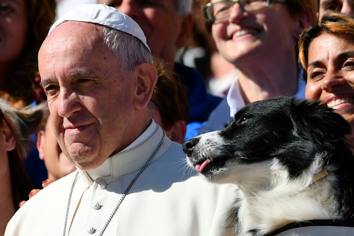 Pope Francis poses for a picture next to a dog after his general audience in St Peter's square at th...