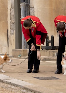The corgis of Queen Elizabeth II, Muick and Sandy seen in the grounds before the Committal Service f...