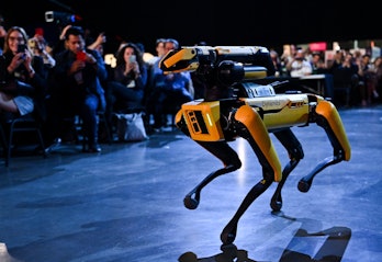 Toronto , Canada - 21 June 2022; Spot, Boston Dynamics Robot Dog, on Centre Stage during day one of ...