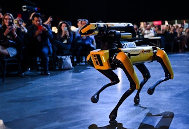 Toronto , Canada - 21 June 2022; Spot, Boston Dynamics Robot Dog, on Centre Stage during day one of ...