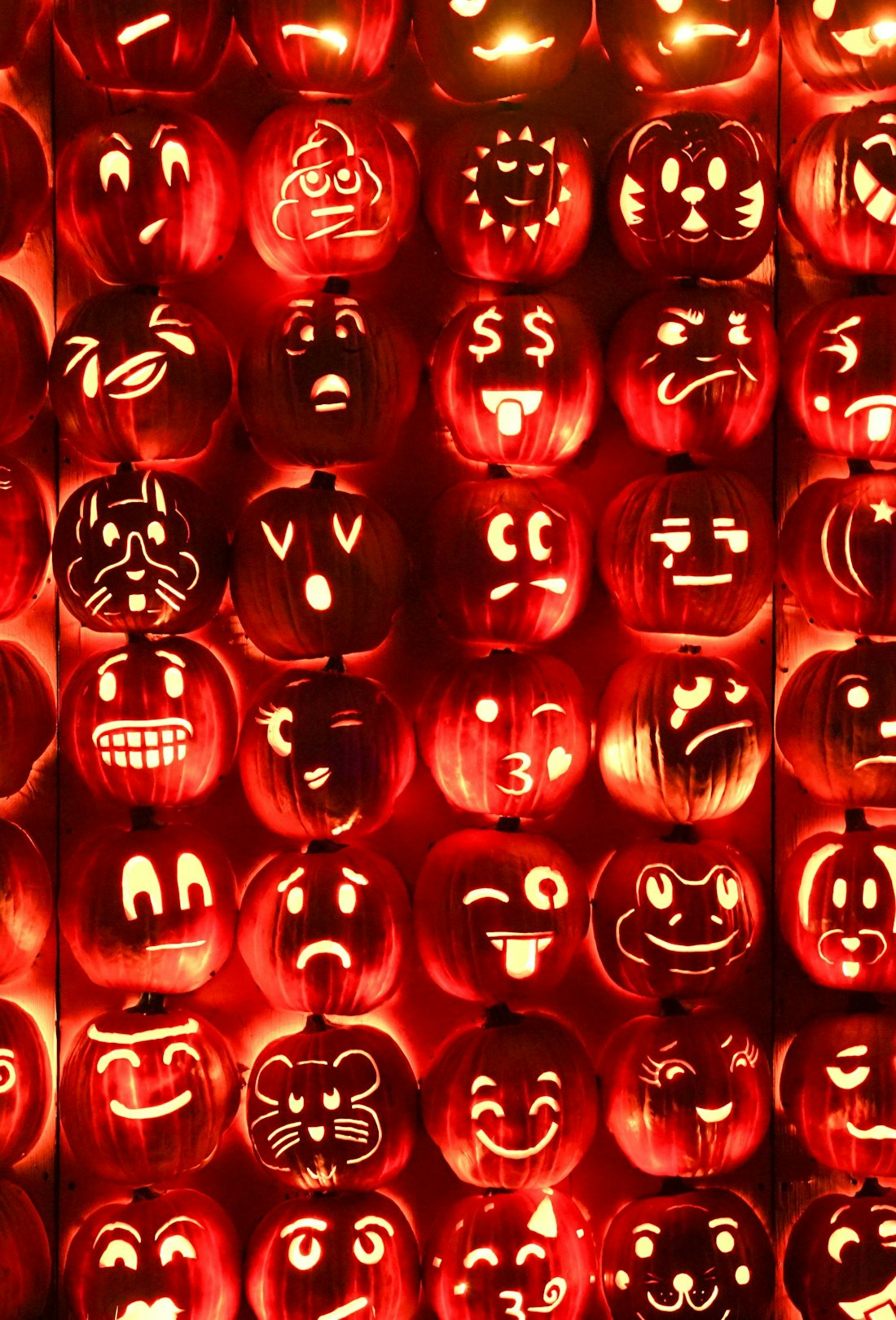 A wall of jack-o'-lanterns with various carvings, demonstrating some of the best jack-o'-lantern ide...