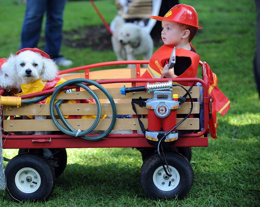 Halloween wagon decorations let your baby's transportation become part of their Halloween costume.