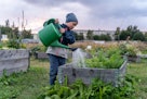 戴着帽子和夹克的男孩在公共花园用大罐子给植物浇水。全身肖像